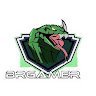 brgamer2345